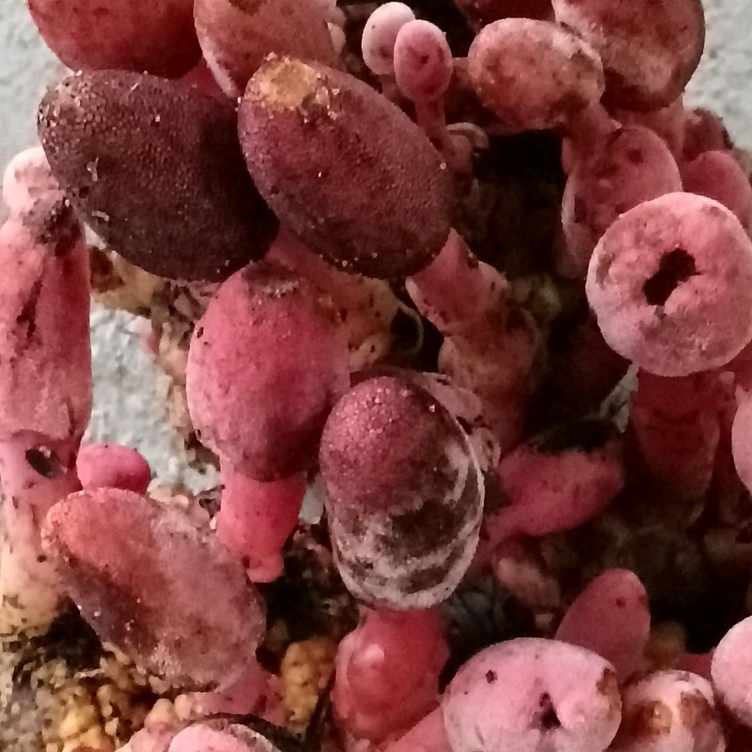 开开👨‍🚒👨‍🚒心心💓过美一天