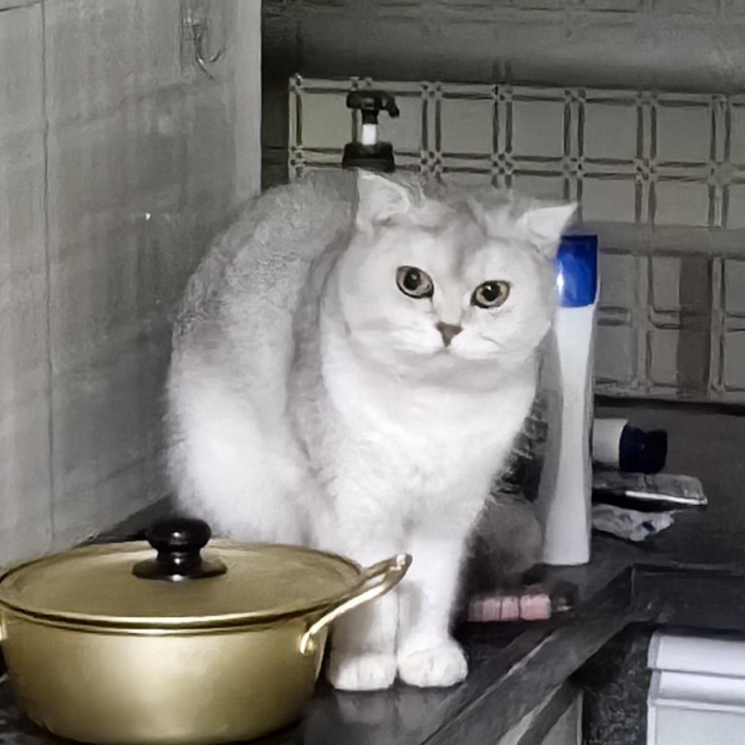 肉装男枪第一人Lol