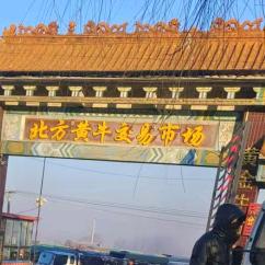 北方黄牛交易市场（牛犇黄牛中介