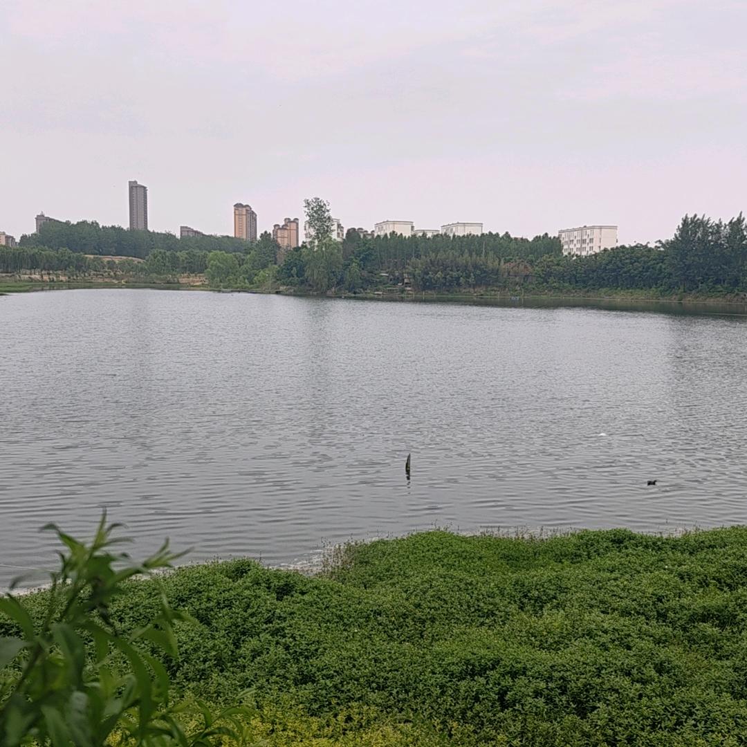 波光粼粼头像