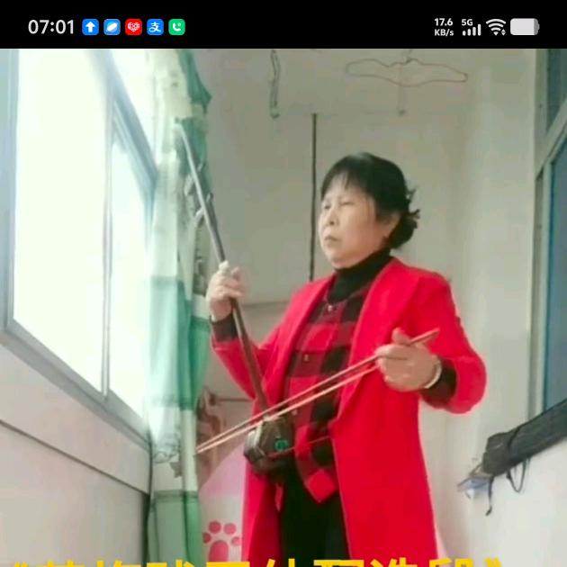雪地阳光