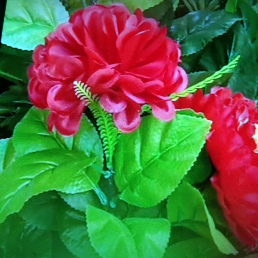 逍遥快乐平平安安过一身