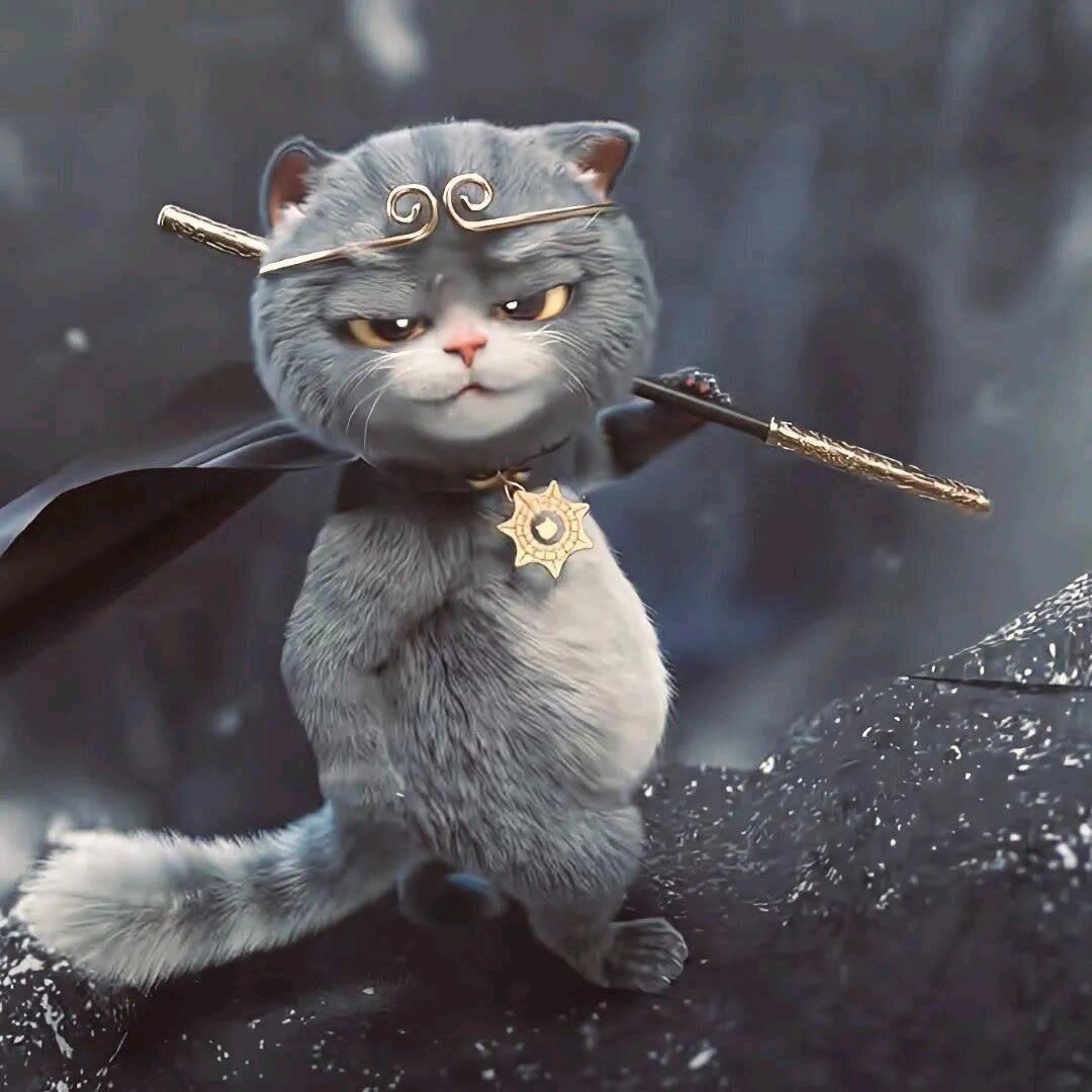 抗拒从  严先生