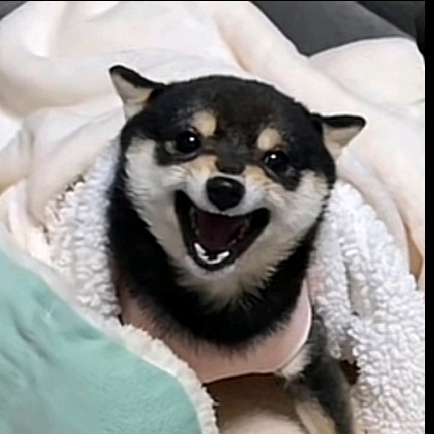 塞包