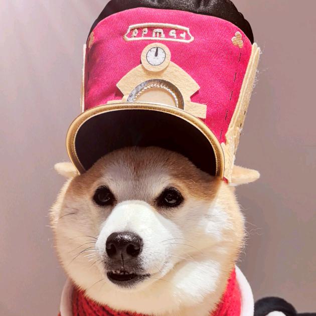 阿柴