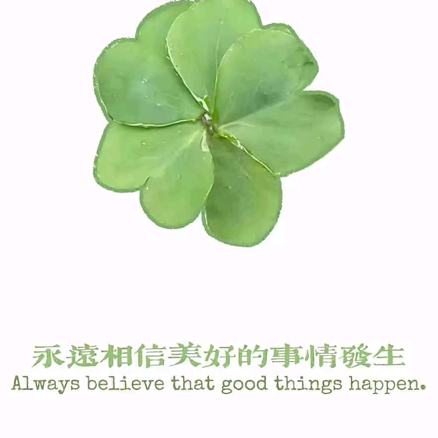 琪琪#