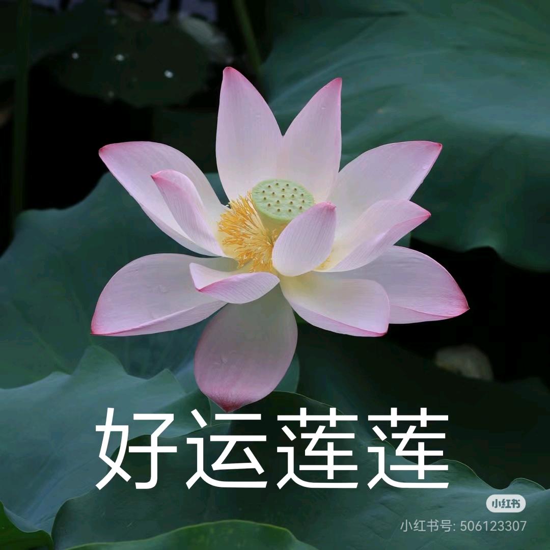 阳光