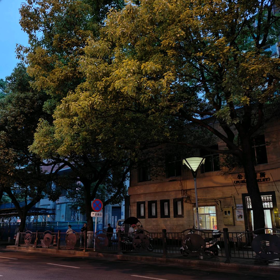 这条小鱼在乎📷