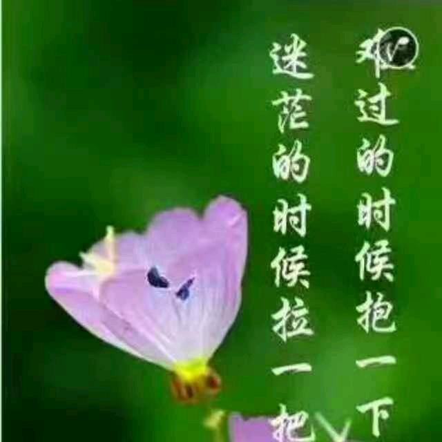 巷陌繁花