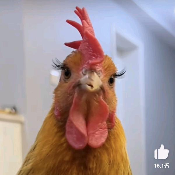 小糖诺