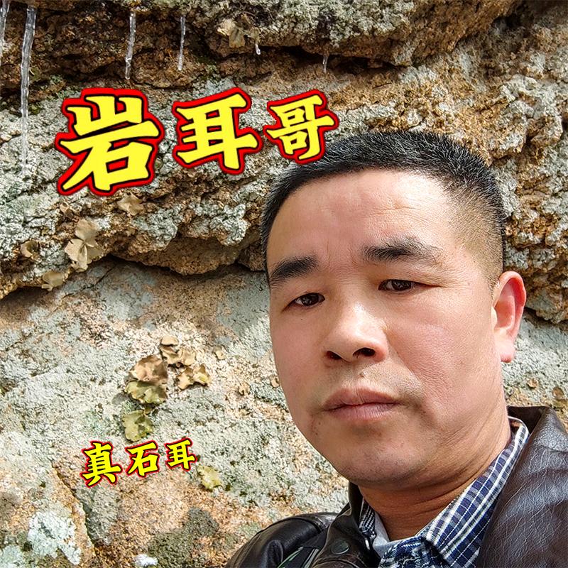 石耳石菇