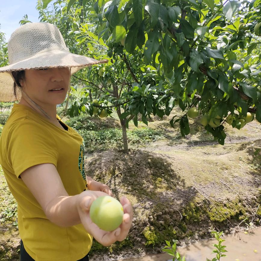 患难夫妻生活号