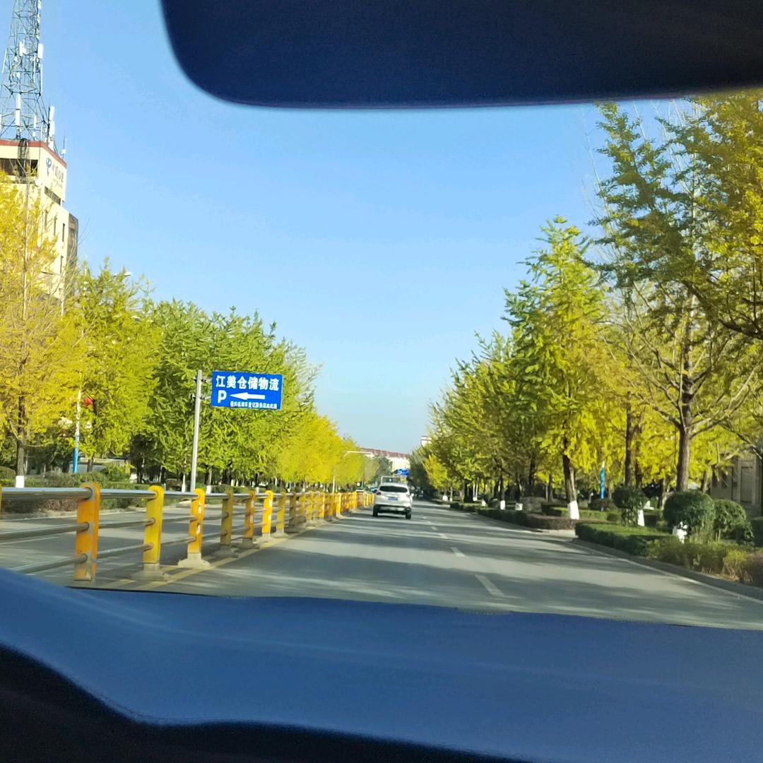 罗平梁艳