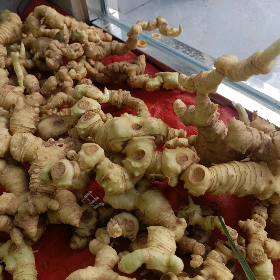 宜宾中药材阿鸿