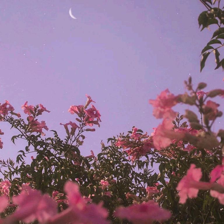 宽容与善良就是美