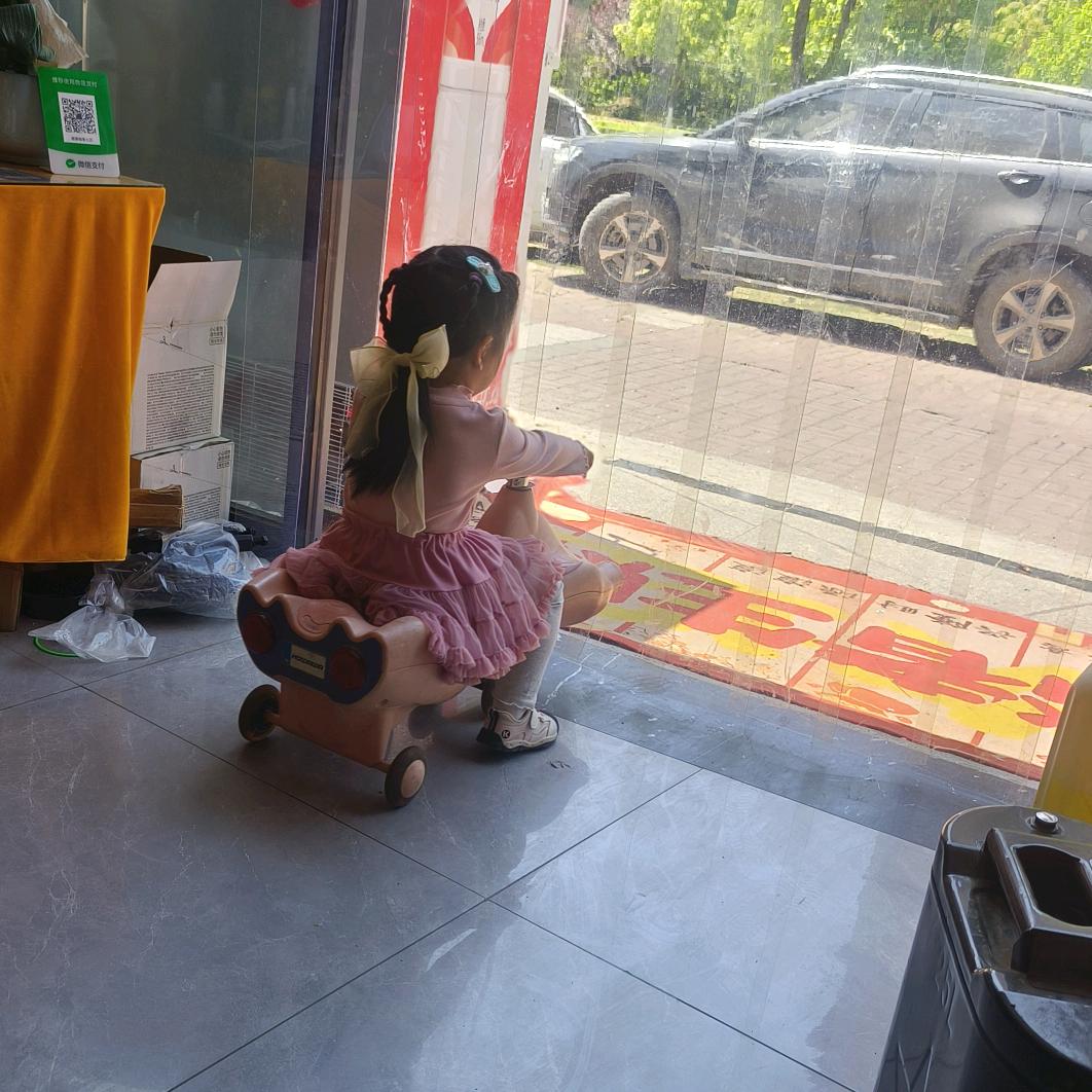 紫琳
