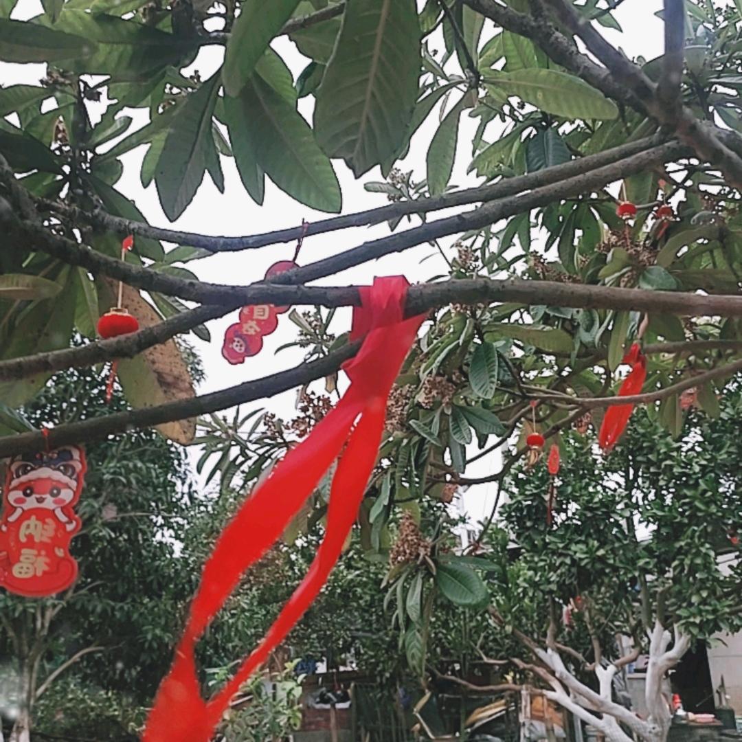 幸福🚗常伴👍