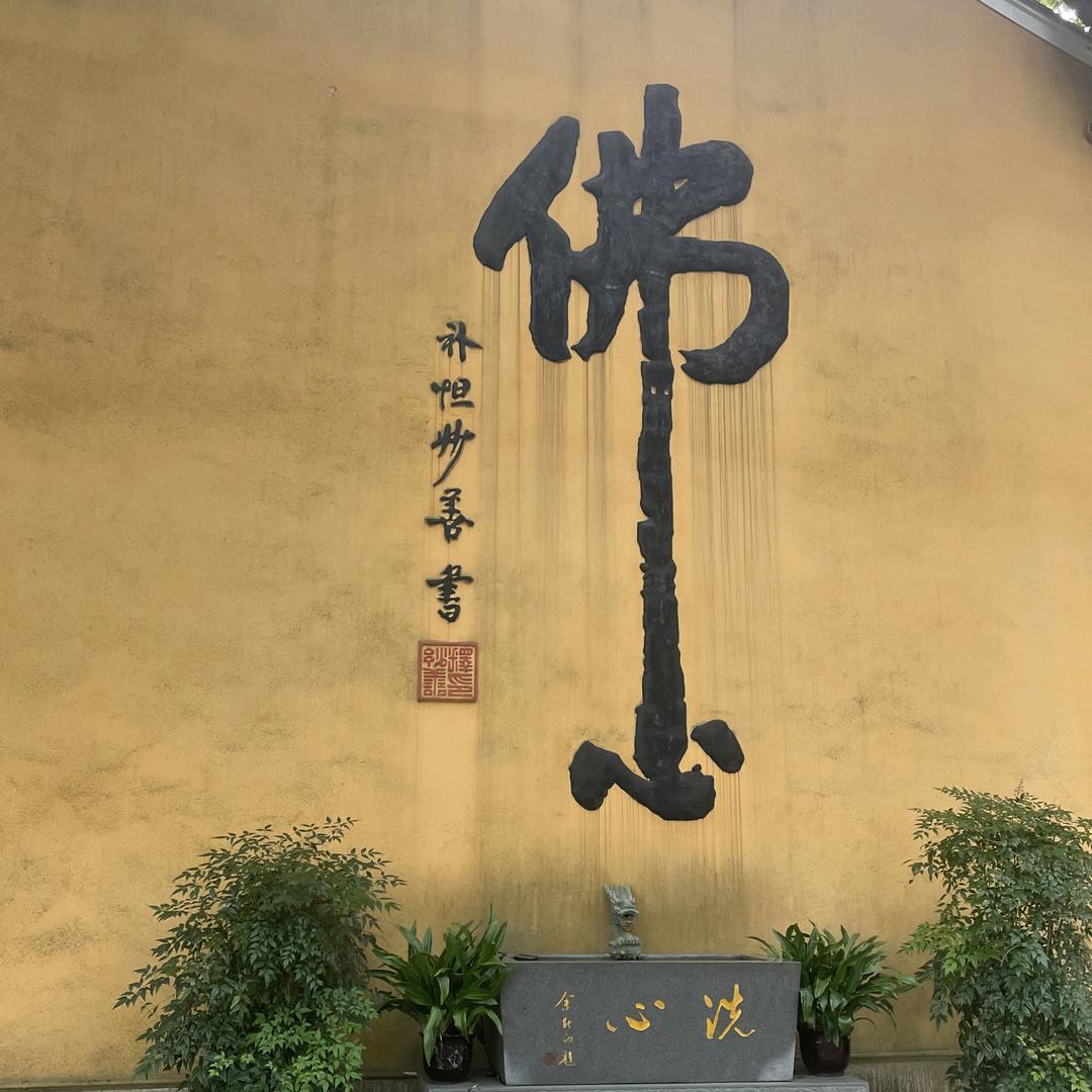 阳光男孩