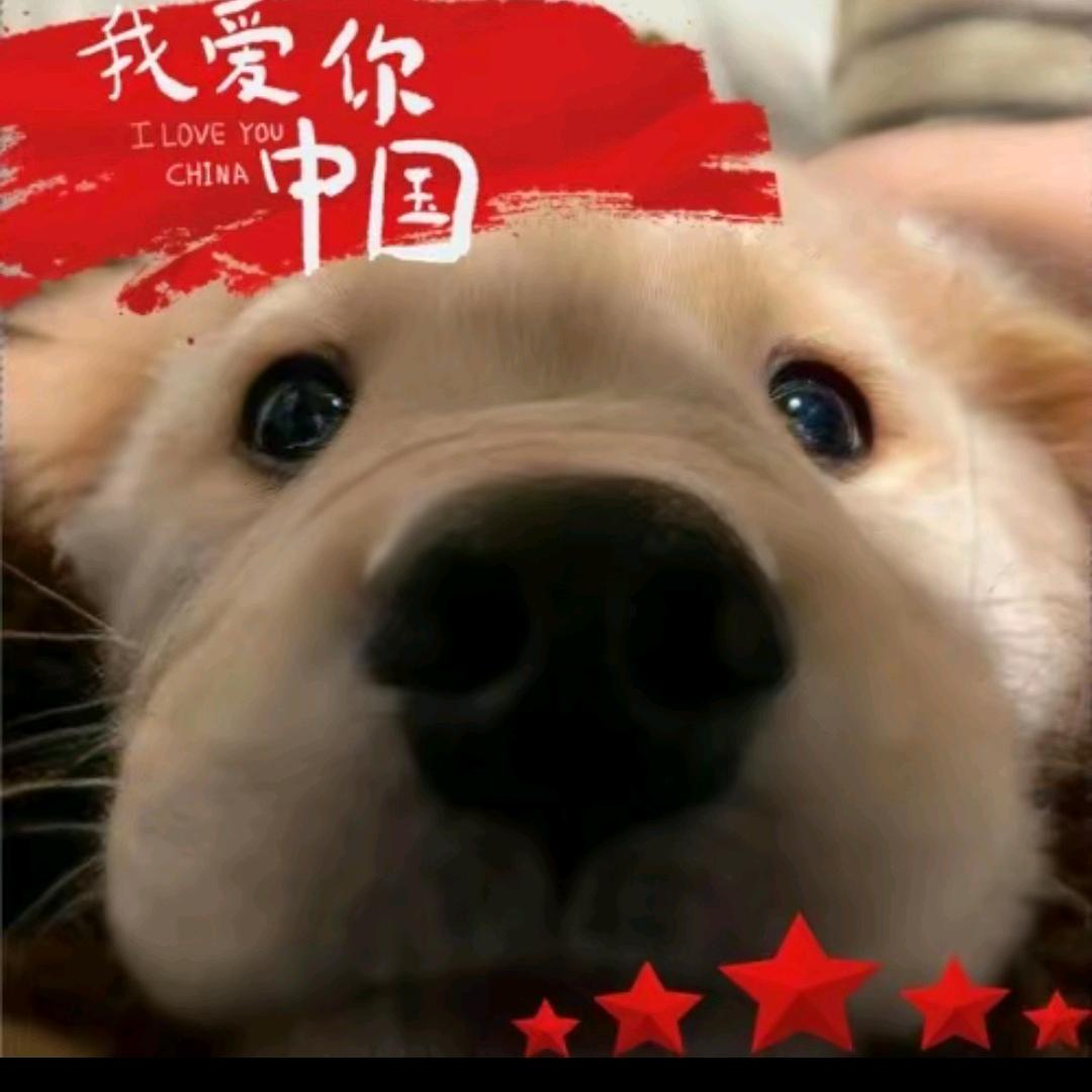 杰瑞吃不蛋