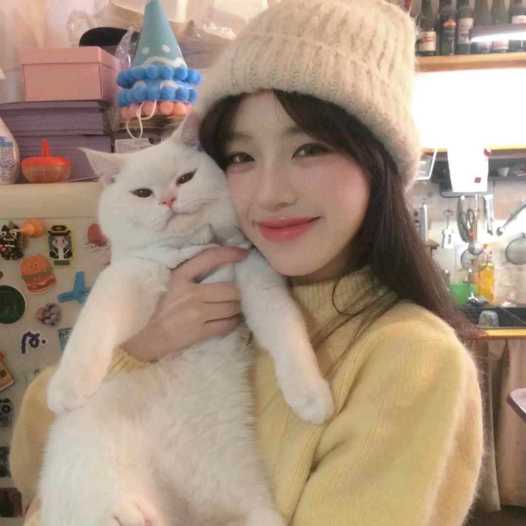 下了猫猫雨☔