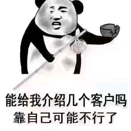 喵了个咪🍒