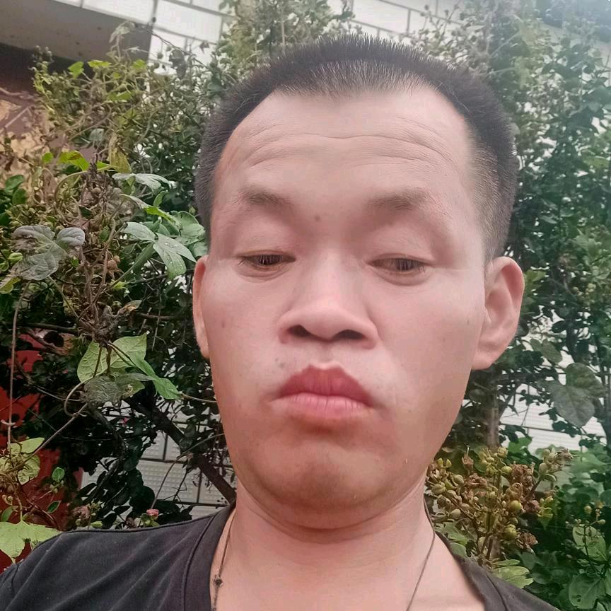 张氏家祖文化传媒