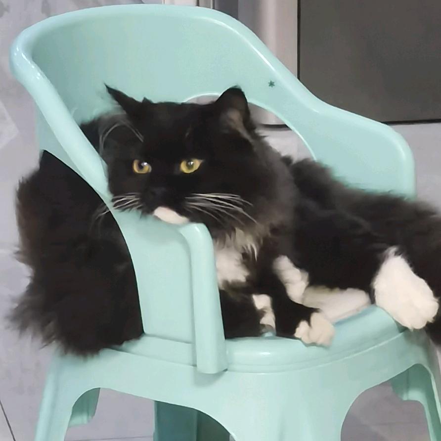 疯狂星期四代吃员小吴