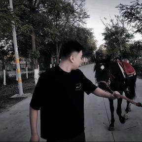 杨dd。