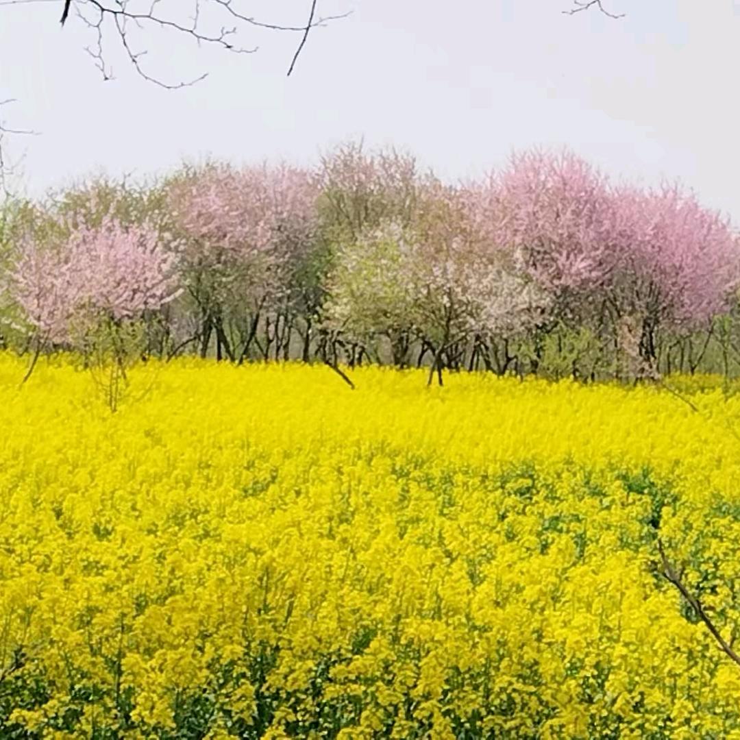 🎀修身养性《拒私聊》🌹