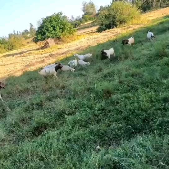 有山有水还有田