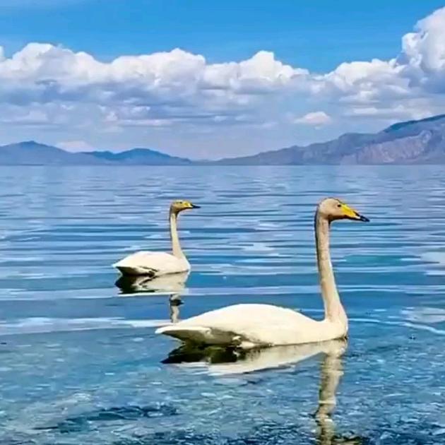 ╰☆╮潙夢垳╰☆╮