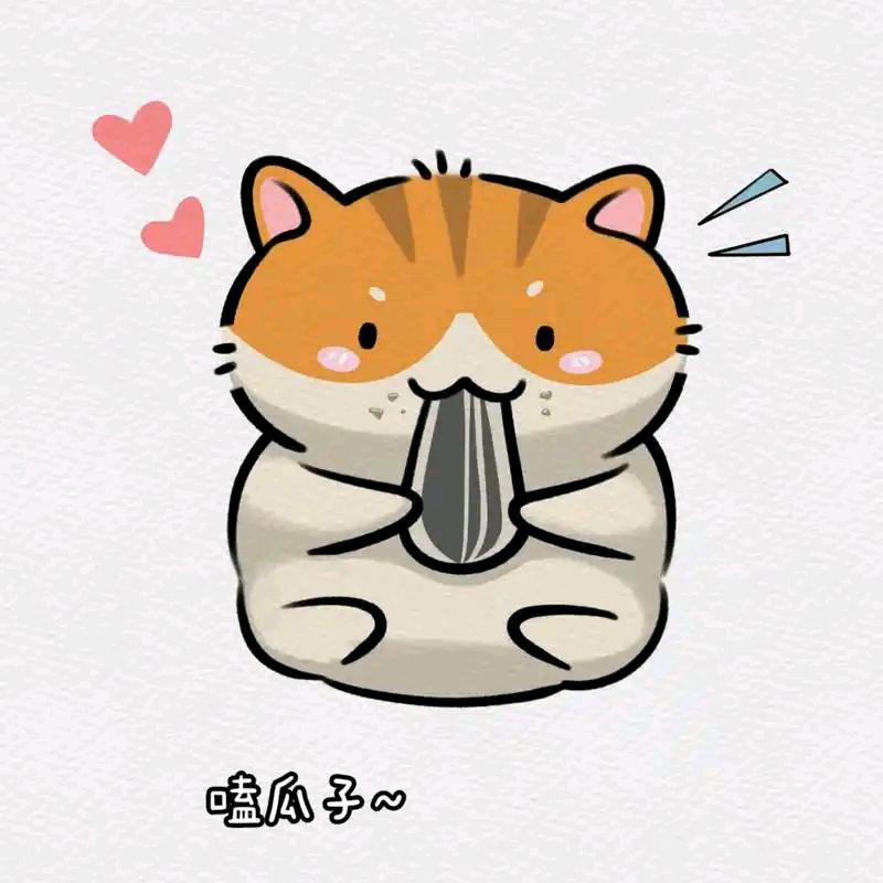 瓜子好物分享