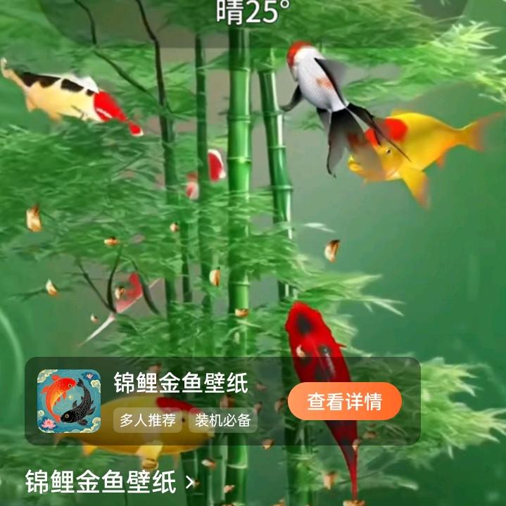 姓张不嚣张（550）