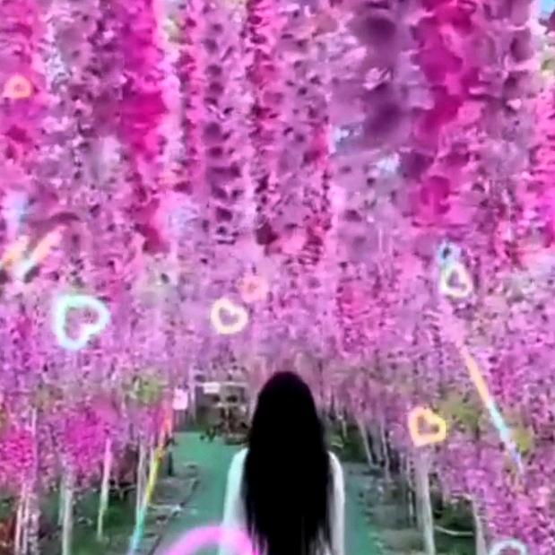 思哥★chénɡxìn]