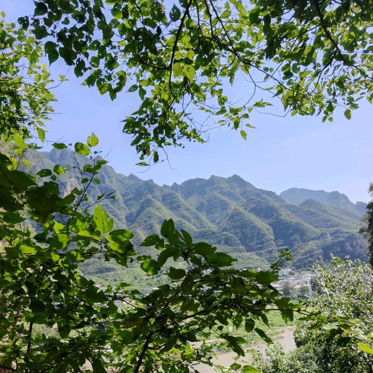 舒鹏箱包严选