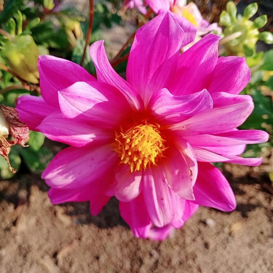 流年、执子之手1