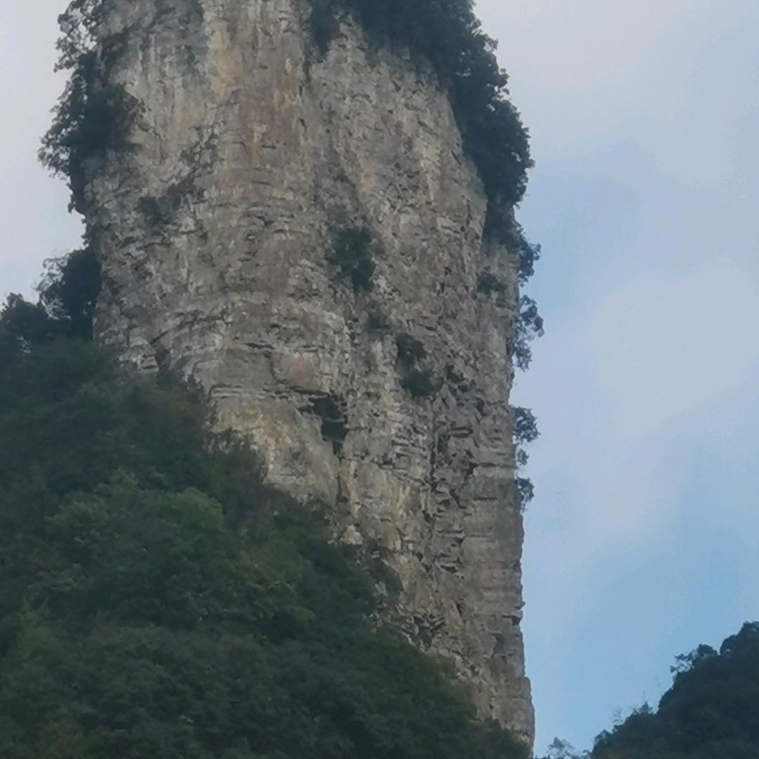 压倒我的腿🦵🦵🦵