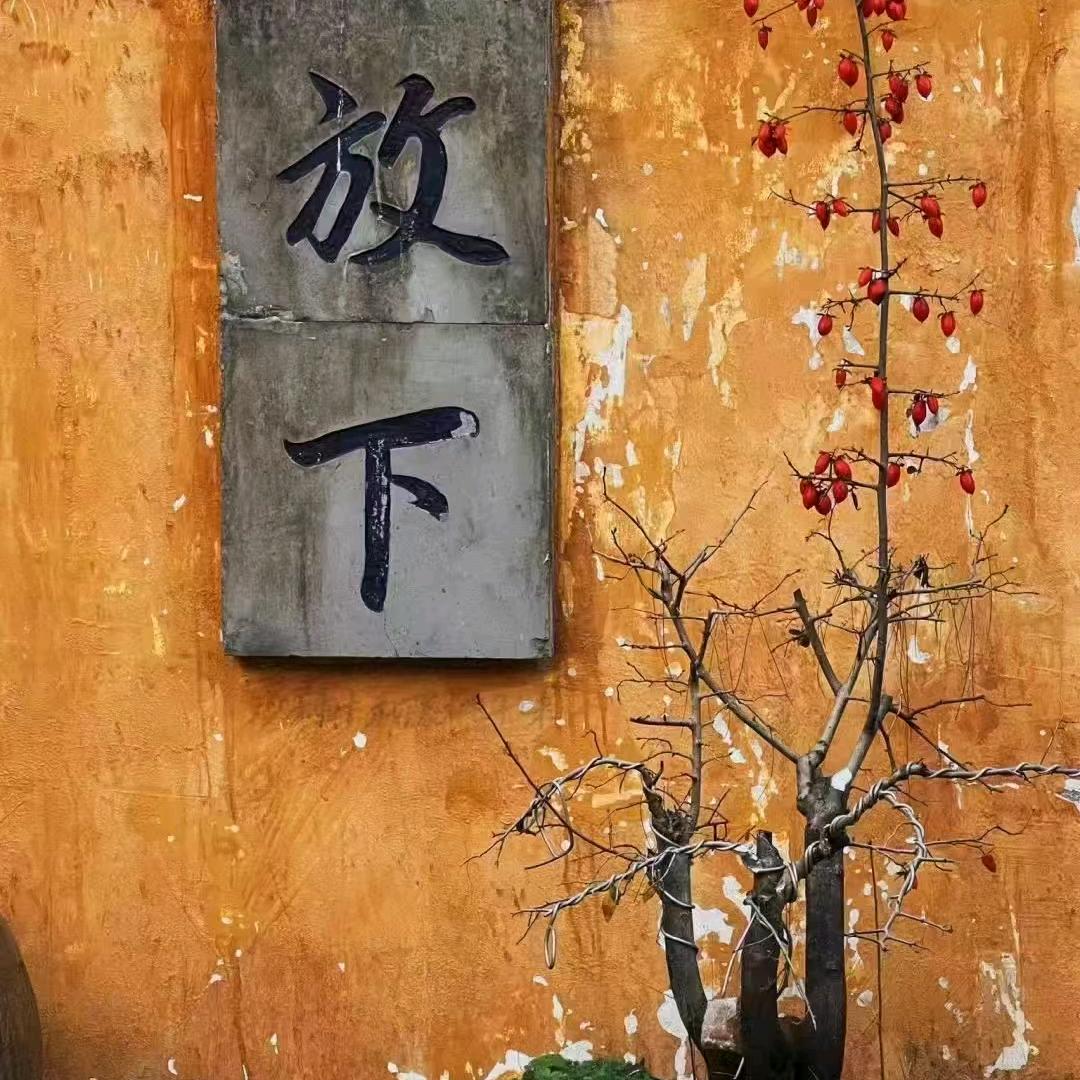 @奇门 八字 梅花 紫薇(不准全退)