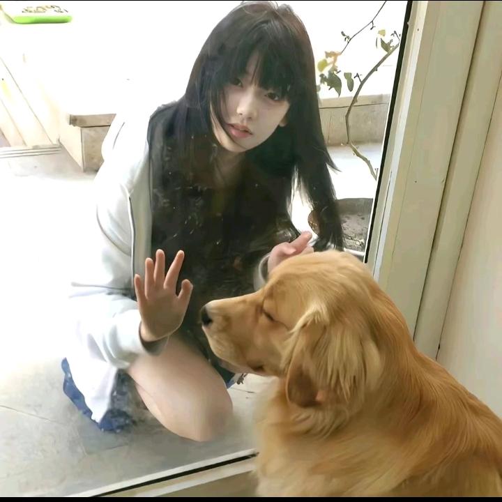 菠萝蜜