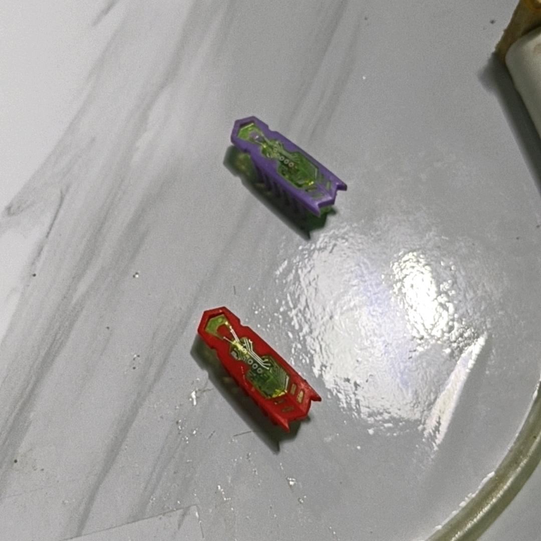 㞮孞     虫虫向前冲