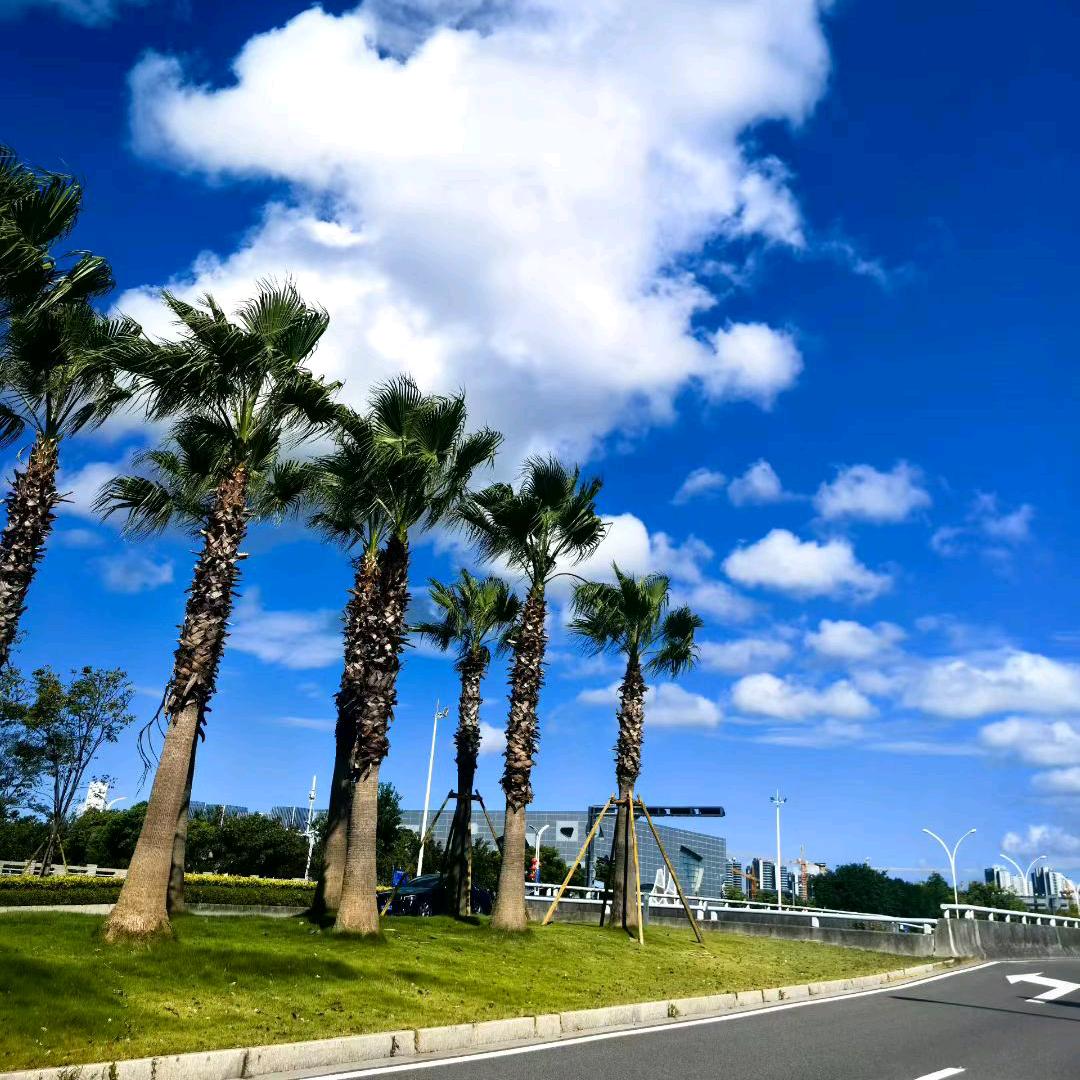 天空之境
