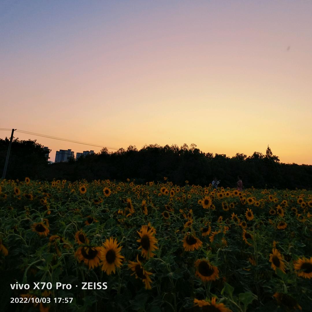 手机用户67800357585