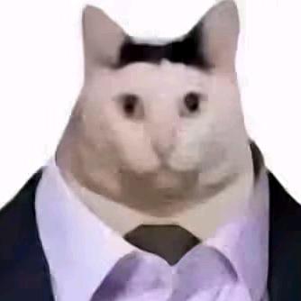 喜欢休息天（限流版）