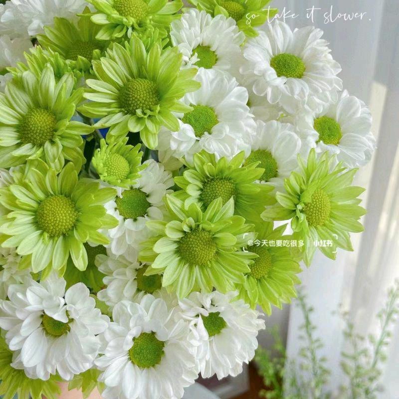 兔斯基的哈伦裤