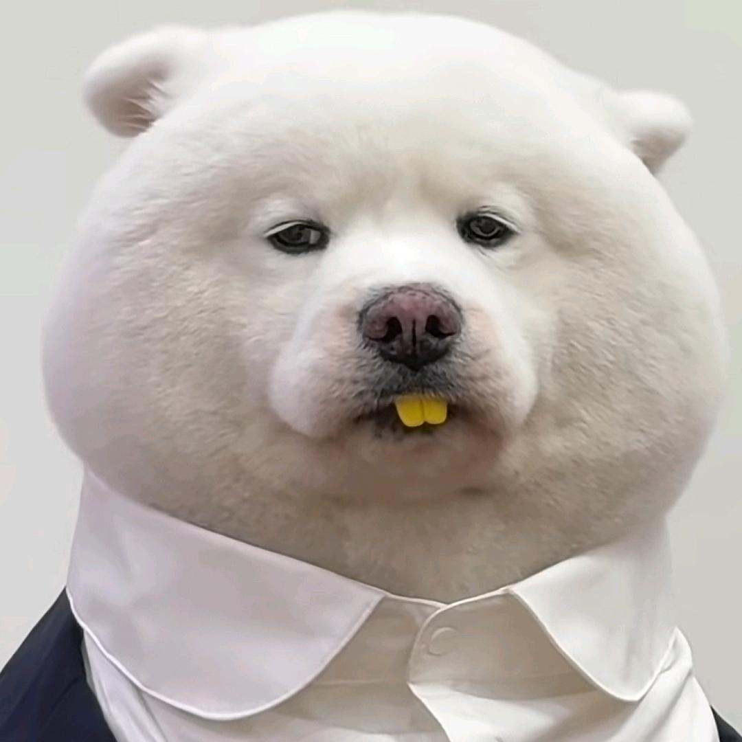 N bil