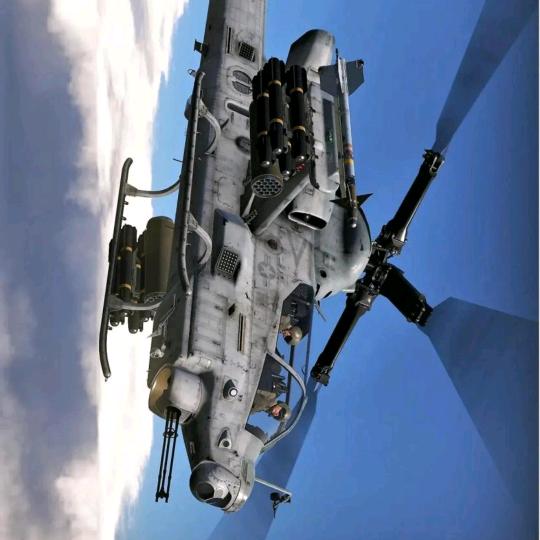 青岛盛世朝淋商贸有限公司