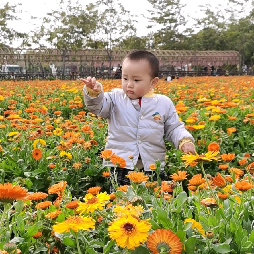 阿成哥