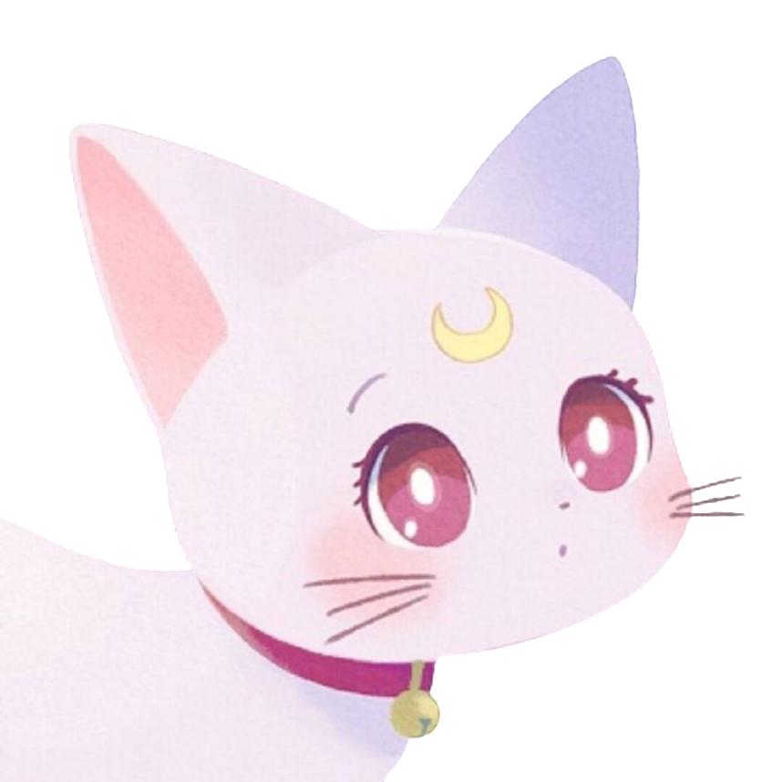 糕子
