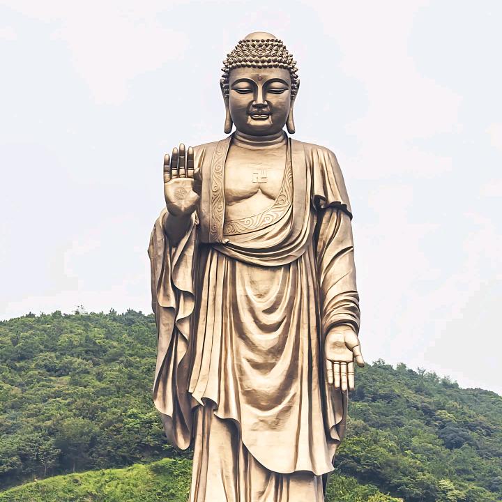 一心向阳