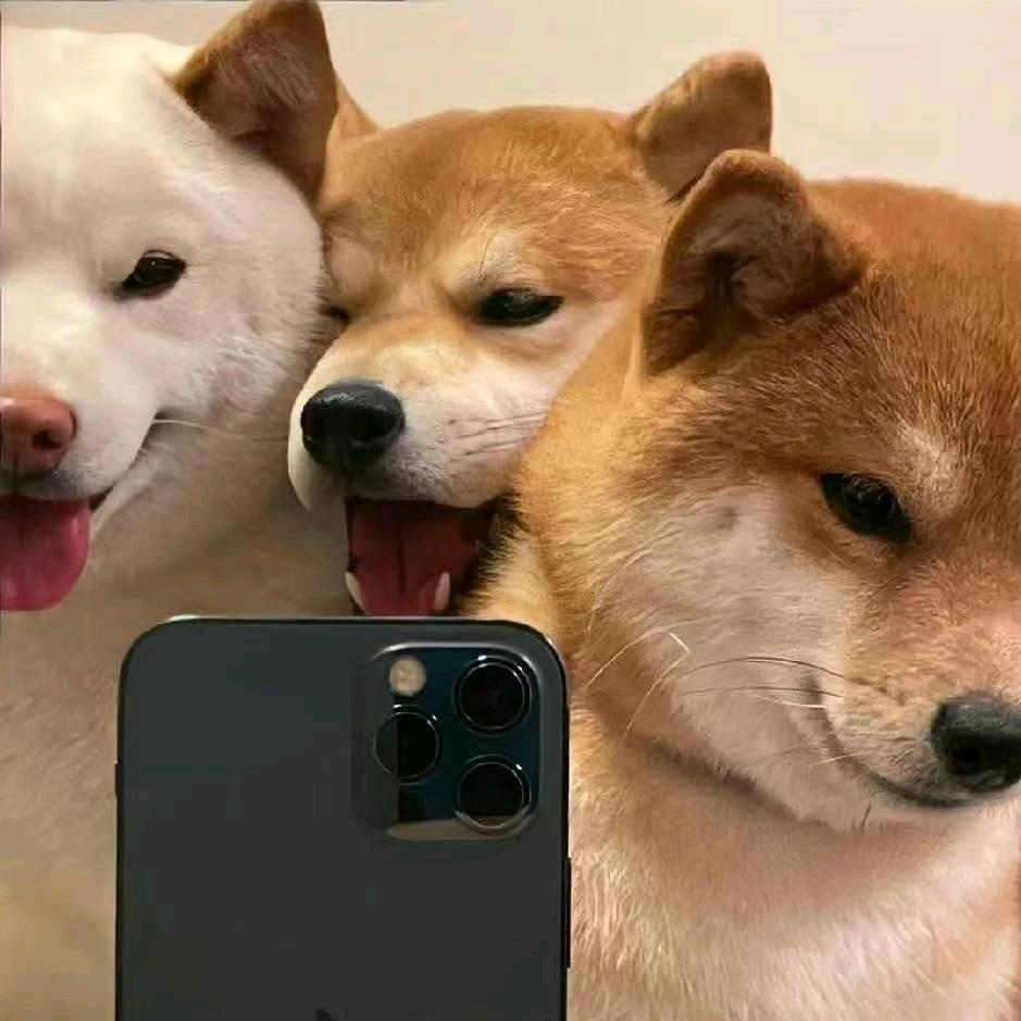 十八